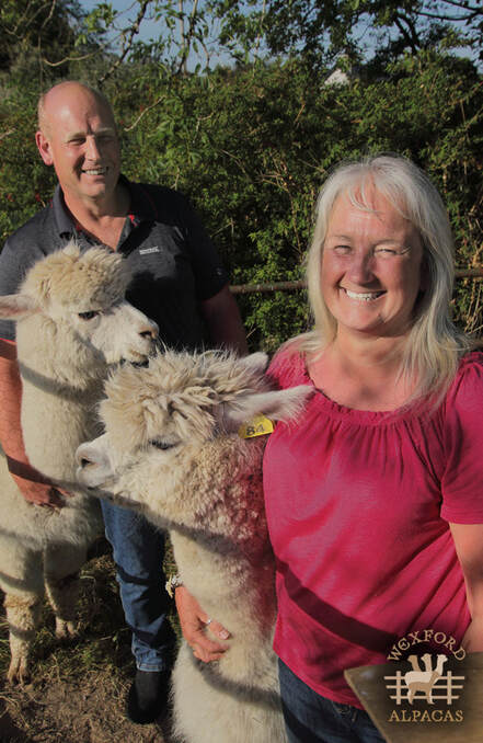 Portrait of Carmel Mahony and Geoff Youg smiling and holding two fluffy white alpacas