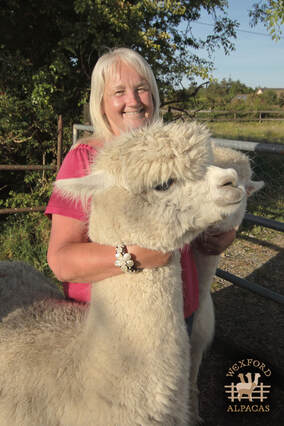 Portait of Carmel Mahony smiling and holding two fluffy white alpacas